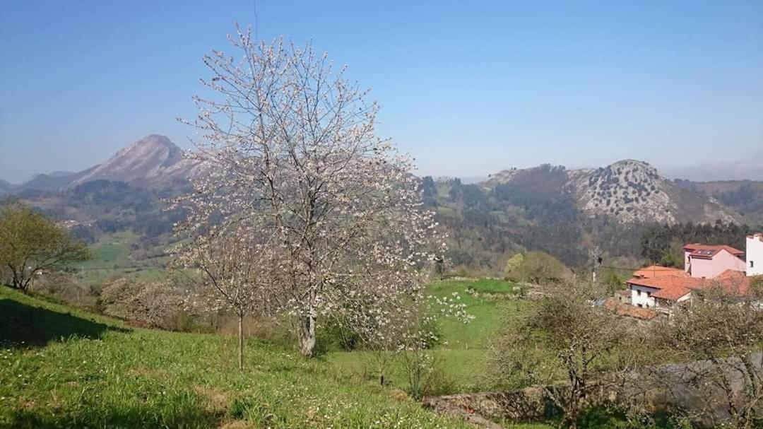 Apartamentos Rurales Andrea Llanes Εξωτερικό φωτογραφία